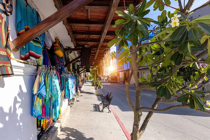 Cabo San Lucas Arch Cruise and Shopping Tour - Guides make the difference: the names you may hear on this route