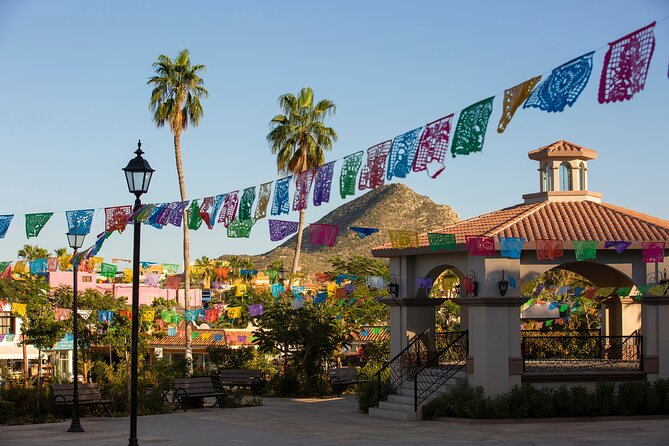 Cabo San Lucas Arch Cruise and Shopping Tour - Glass blowing factory stop: watch craft move from metal to art