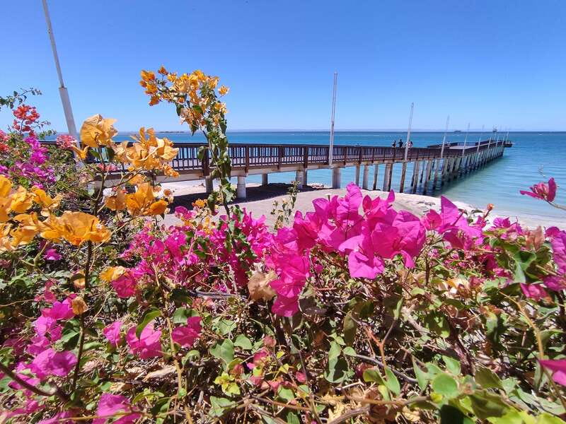 Cabo San Lucas: Balandra Beach and City Tour - Playa Balandra first: why this beach stop sets the tone