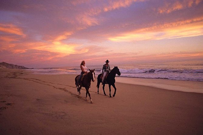 Cabo San Lucas Beach and Desert Horseback Ride - Your Guide and Your Horse: Training, Patience, and Safety