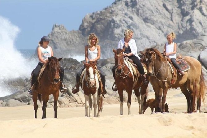 Cabo San Lucas Beach and Desert Horseback Ride - Who This Tour Fits Best (and Who Might Prefer Something Else)