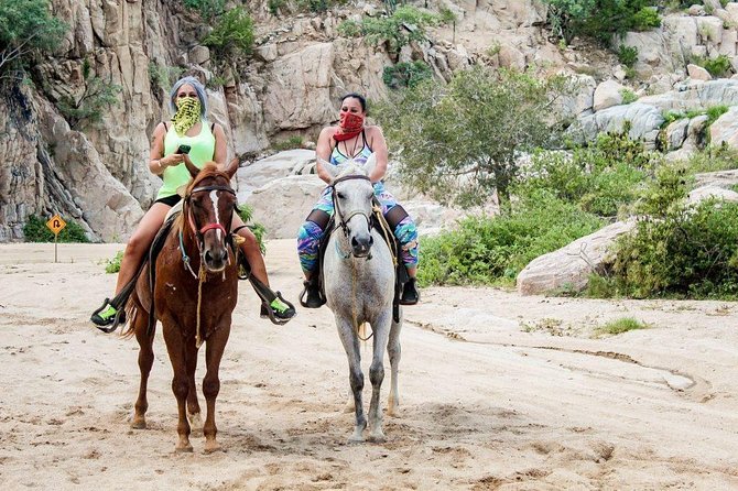 Cabo San Lucas Beach and Desert Horseback Ride - Getting There: Meeting Point, Pickup Timing, and Cruise Reality