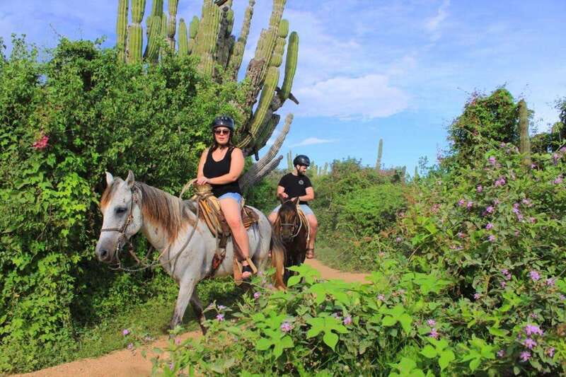 Cabo San Lucas: Beach & Desert Horseback Riding Tour - Choosing beginner or advanced before you mount