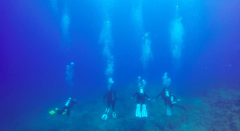 Cabo San Lucas: Beginners Diving Experience w/ Water & Snack - Gear, Weights, and Skills Practice (Where Confidence Is Built)
