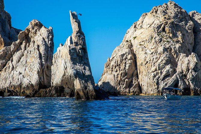 Cabo San Lucas Boat Tour - After the cruise: tequila tasting and shopping time