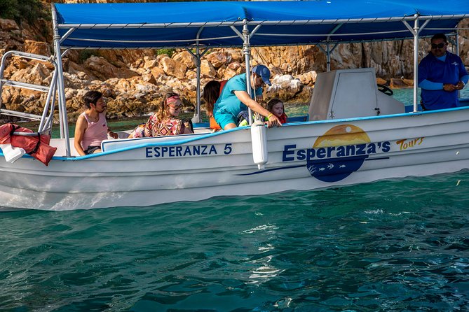 Cabo San Lucas Boat Tour - Weather and sea conditions: how to get better fish photos