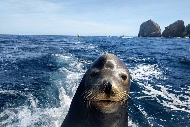 Cabo San Lucas Boat Tour and Snorkel at Pelican Rock - Time on the beach: photo ops and downtime that actually helps