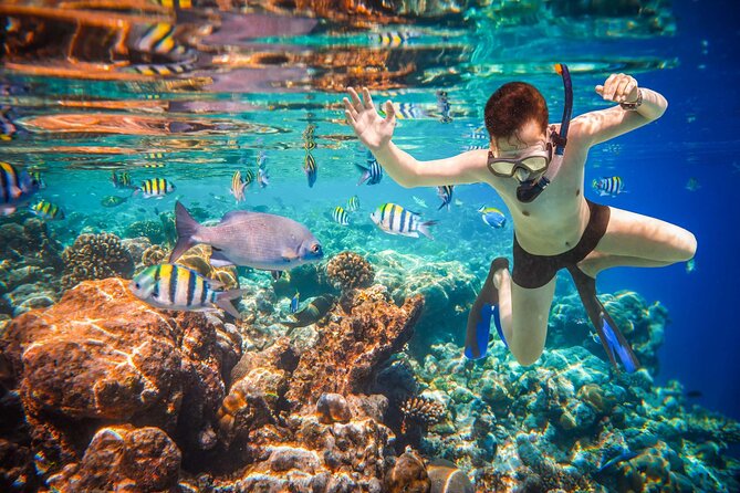 Cabo San Lucas Boat Tour and Snorkel at Pelican Rock - What to bring (so your day feels easy)