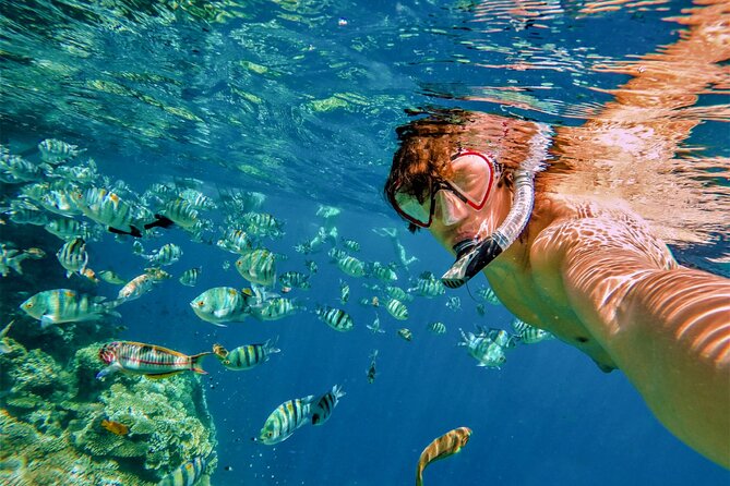 Cabo San Lucas Boat Tour and Snorkel at Pelican Rock - The boat cruise: Lands End stops that make photos easy