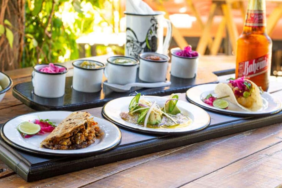 Cabo San Lucas: Cabo Foodie Grand Tour - Key Highlights You Should Know Before You Go