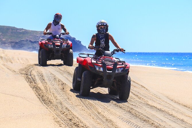 Cabo San Lucas Camel and Horseback Ride with ATV Adventure - Playa Migriño: camels, dunes, beach rides, and the whale-season bonus