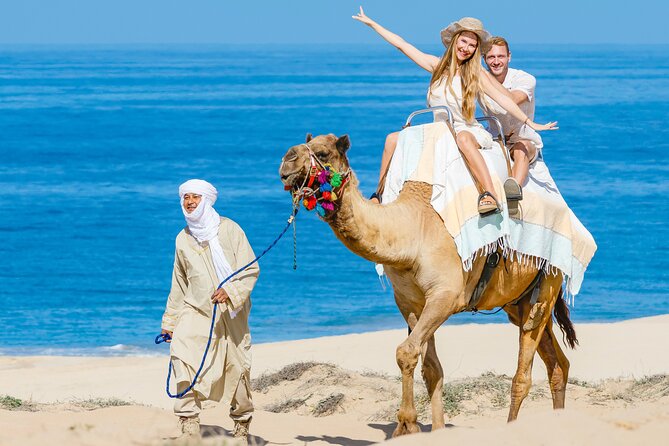 Cabo San Lucas Camel and Horseback Ride with ATV Adventure - Should you book this tour?