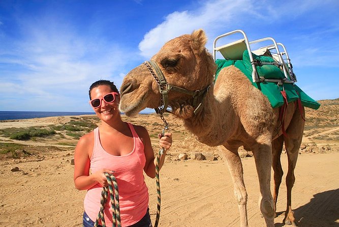 Cabo San Lucas Camel Ride and Encounter on Beach and Desert - Key things to know before you go