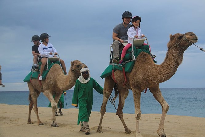 Cabo San Lucas Camel Ride and Encounter on Beach and Desert - Cabo San Lucas by Camel, Desert, and Tequila