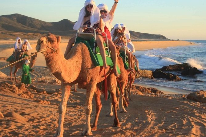 Cabo San Lucas Camel Ride and Encounter on Beach and Desert - Hotel pickup, check-in, and how to handle the timing