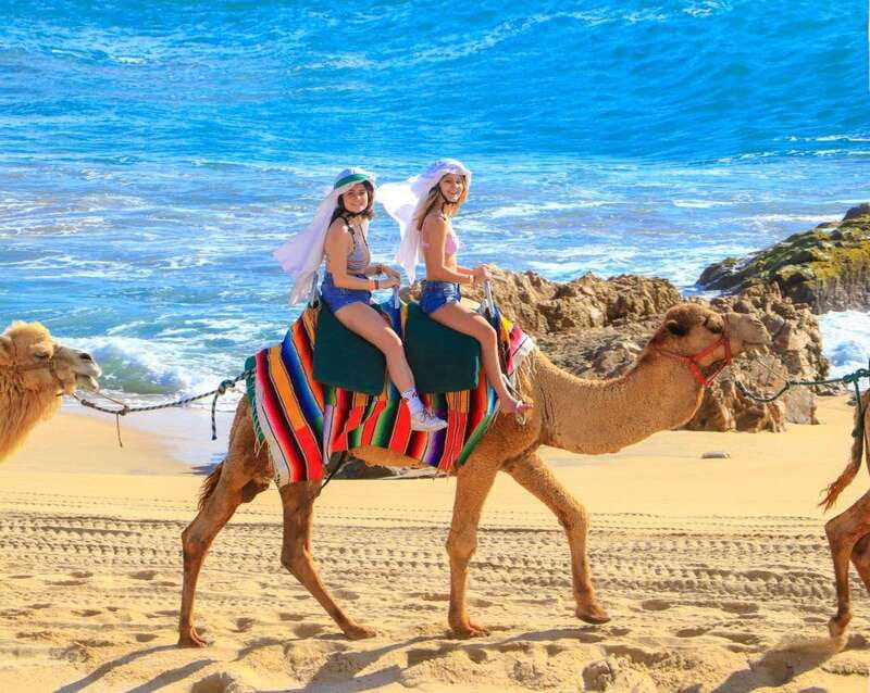Cabo San Lucas: Camel Ride & Off-Road UTV Combo Adventure - Who this Cabo camel and UTV combo is perfect for