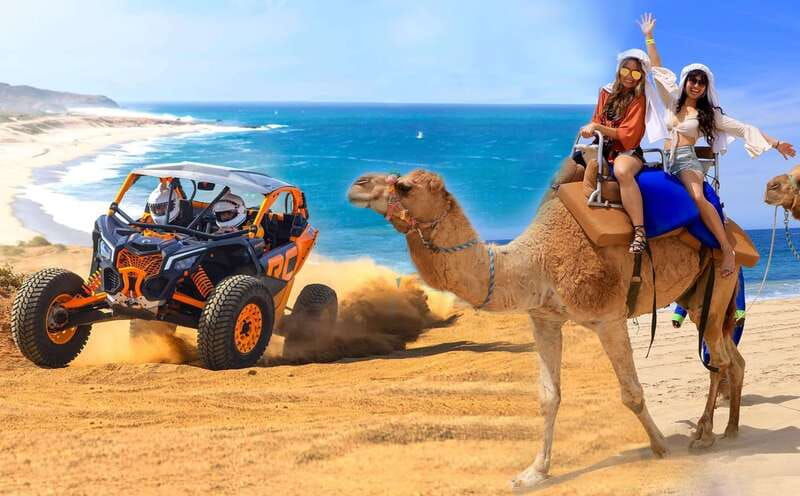 Cabo San Lucas: Camel Ride & Off-Road UTV Combo Adventure - UTV off-road in Baja: driving your own vehicle (and why safety matters)