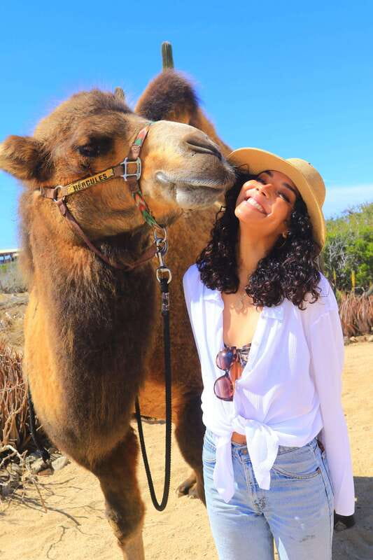 Cabo San Lucas: Camel Ride & Off-Road UTV Combo Adventure - How to be prepared in Cabo: ID, cash, and clothing