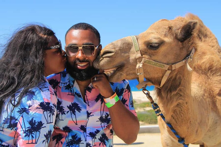 Cabo San Lucas: Camel Ride on the Beach - Who this tour is best for in Cabo