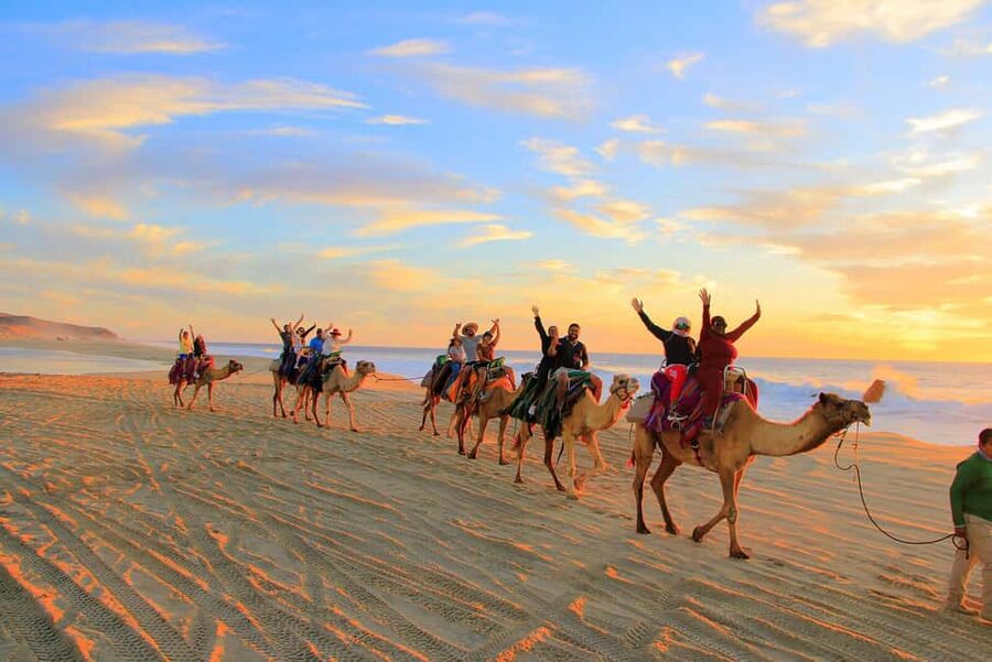 Cabo San Lucas: Camel Ride on the Beach - Camel ride on the beach area: what you will actually do