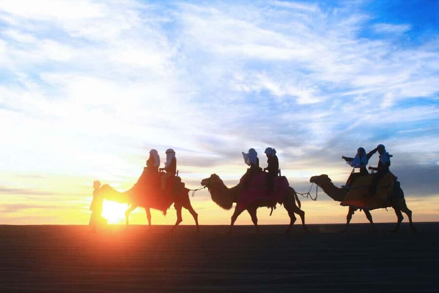 Cabo San Lucas: Camel Ride on the Beach - Desert safari and the ecological reserve hike