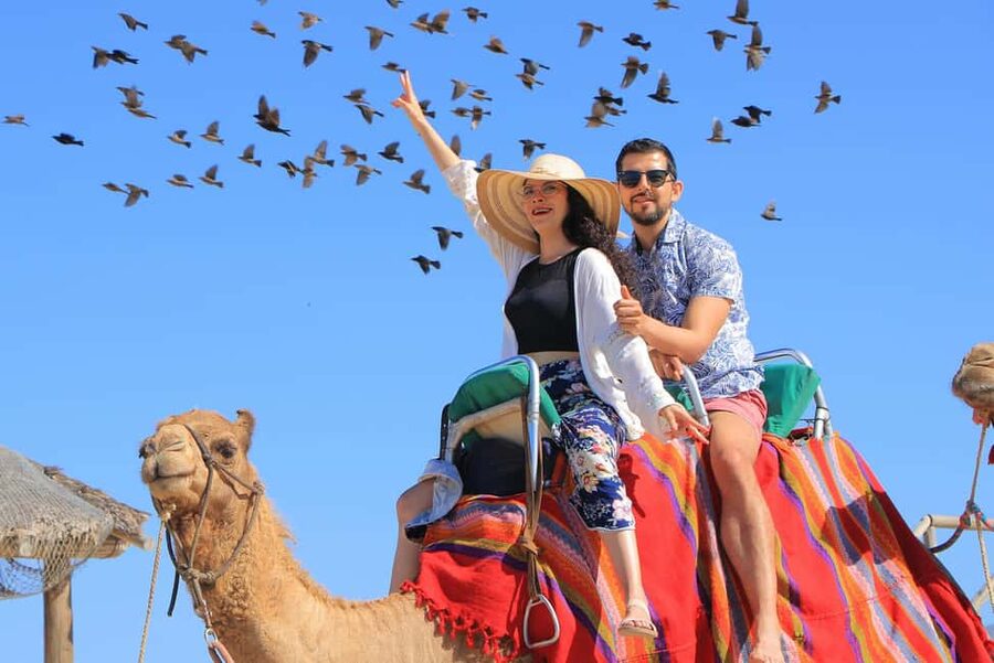Cabo San Lucas: Camel Ride on the Beach - Mexican buffet lunch: what to expect and how it can go