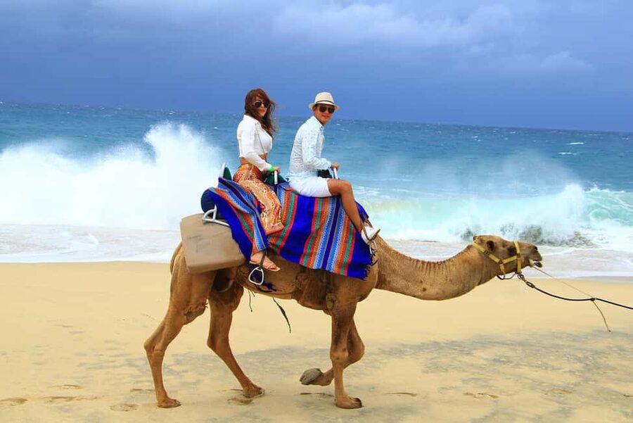 Cabo San Lucas: Camel Ride on the Beach - Price and logistics: where the real cost can change