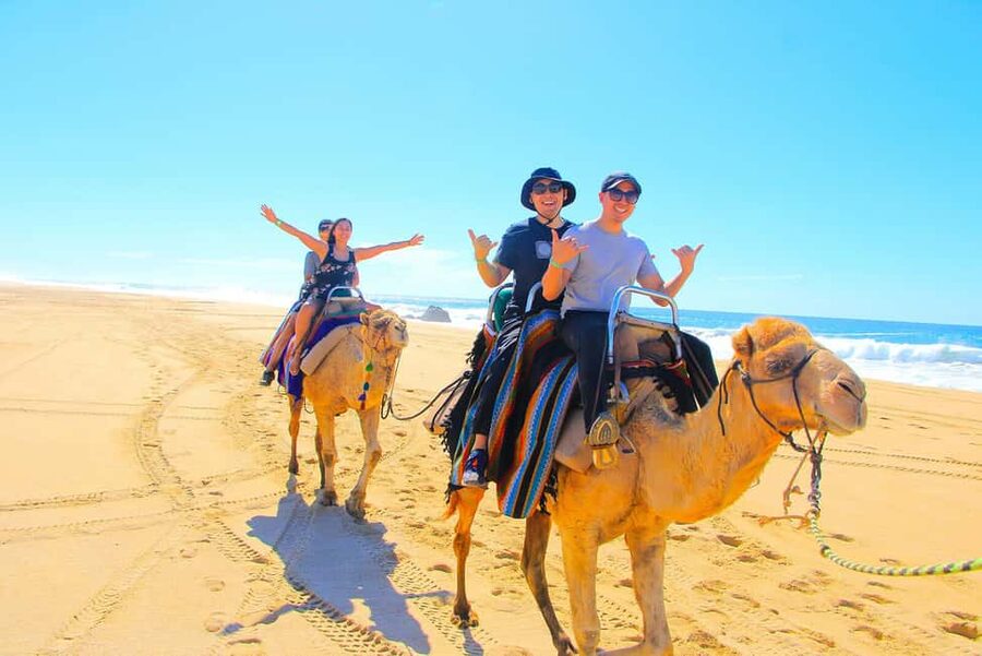 Cabo San Lucas: Camel Ride on the Beach - What to bring, what not to bring, and how to avoid headaches