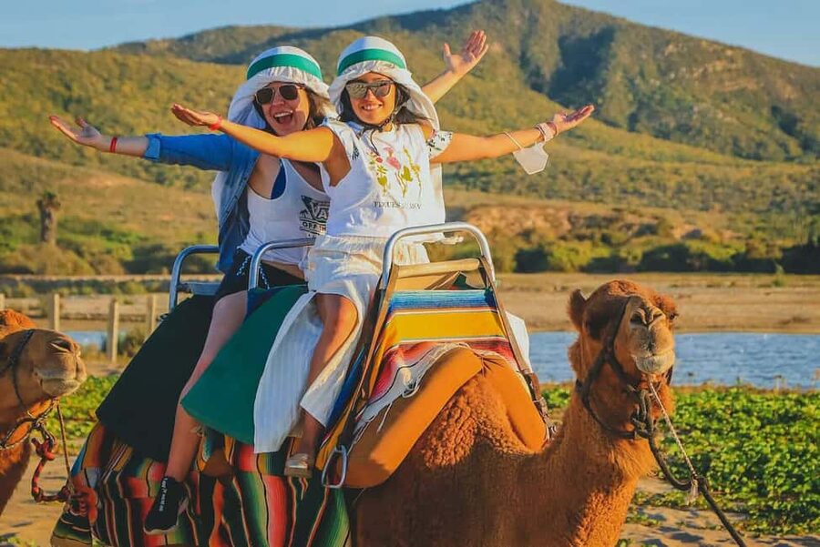 Cabo San Lucas: Camel Ride on the Beach - The 2-hour flow, from pickup to tequila museum