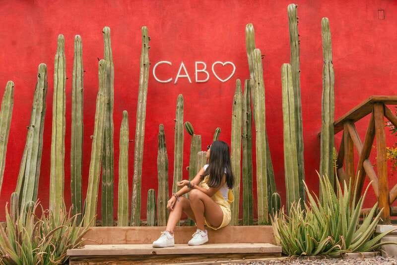 Cabo San Lucas: Camel Safari Tour with Lunch and Tequila - Key points before you go
