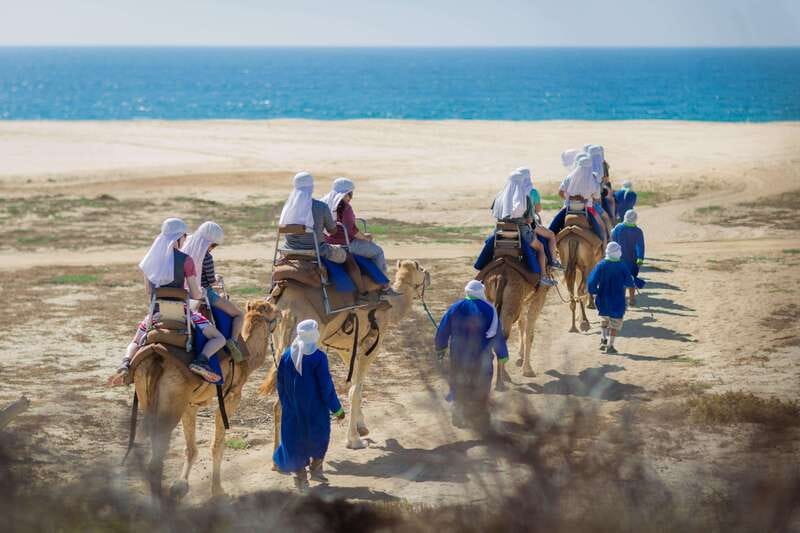 Cabo San Lucas: Camel Safari Tour with Lunch and Tequila - Cabo Adventures pickup: where your day starts