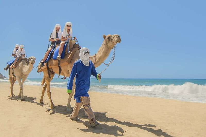 Cabo San Lucas: Camel Safari Tour with Lunch and Tequila - 20 minutes on a camel: the beach ride that people remember