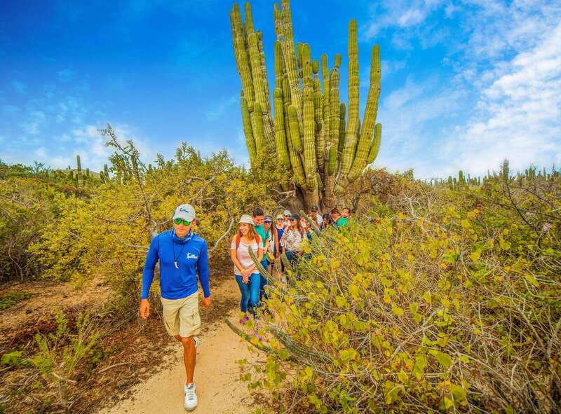 Cabo San Lucas: Camel Safari Tour with Lunch and Tequila - Tortillas and lunch: where the day turns from activity to payoff