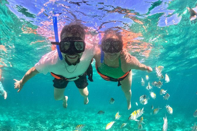 Cabo San Lucas Catamaran Cruise: Snorkel or Sunset Adventure - Daytime Snorkel Adventure: Pelican Rock, Tropical Fish, and Gear Included