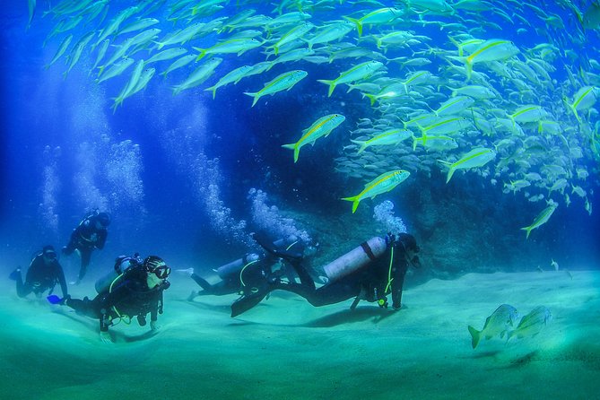 Cabo San Lucas Certified 2 Tank Dive at the Famous Arch and Land's End - Key things to know before you go