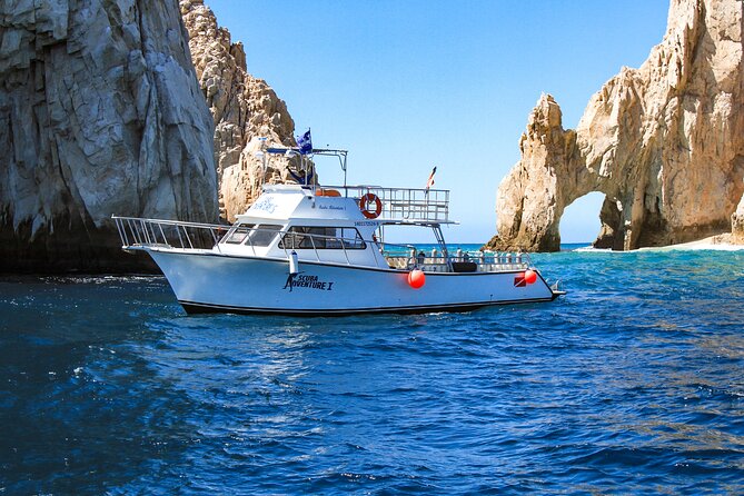 Cabo San Lucas Certified 2 Tank Dive at the Famous Arch and Land's End - Wildlife: what to hope for, and how to think about it