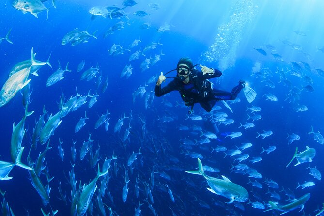 Cabo San Lucas Certified 2 Tank Dive at the Famous Arch and Land's End - Boat comfort and safety: why the 47ft detail matters