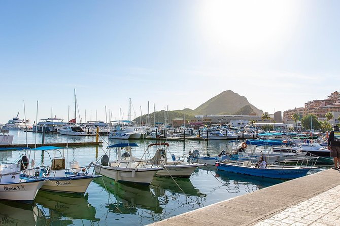 Cabo San Lucas City Tour - Cabo San Lucas City Tour Highlights You’ll Feel Right Away
