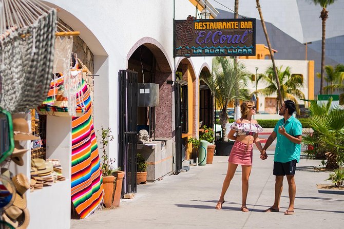 Cabo San Lucas City Tour - Spotting the Sea Lions and Understanding What You’re Looking At