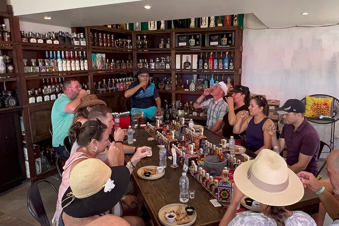 Cabo San Lucas Cocktails, Tequila and Tacos Walking Tour - Key highlights before you go