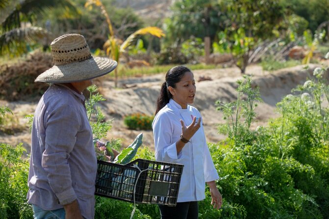 Cabo San Lucas Cooking Classes by Chef Ari - Where the Value Comes From: $125 for Skills You Can Reuse