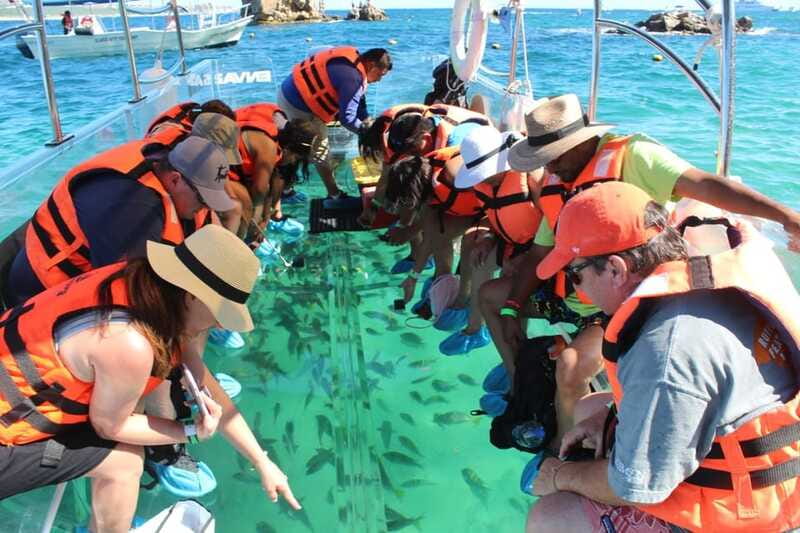 Cabo San Lucas: Glass Bottom Boat Tour to Land's End - Price and value at around $46 per person