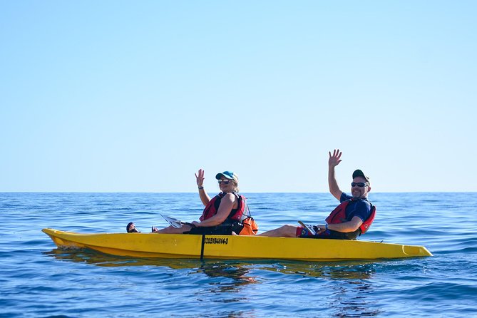 Cabo San Lucas Glass Bottom Kayak Tour and Snorkel at Two Bays - Price and Value: Why $100 Often Feels Like a Deal