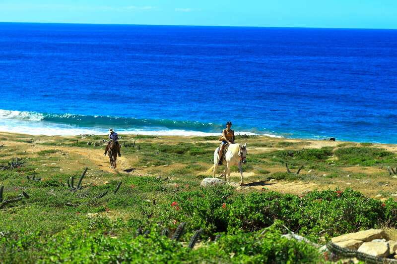Cabo San Lucas: Horseback Riding in Migriño with Transfers - Migriño: Desert Views and Pacific Air, Right From Cabo
