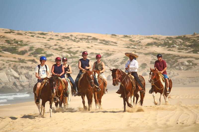 Cabo San Lucas: Horseback Riding in Migriño with Transfers - Riding Experience Notes: What the Horses and Guides Are Like