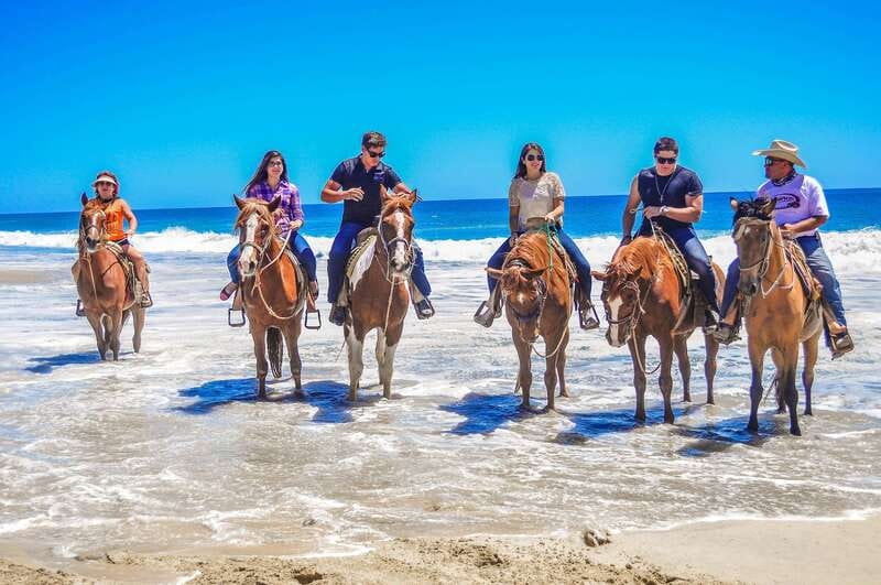 Cabo San Lucas: Horseback Riding in Migriño with Transfers - Beach Time and Season for Gray Whales