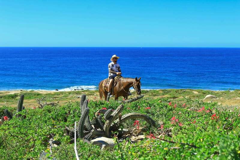 Cabo San Lucas: Horseback Riding in Migriño with Transfers - The Relax Window: Tequila Tasting, Photos, and What You Can Buy
