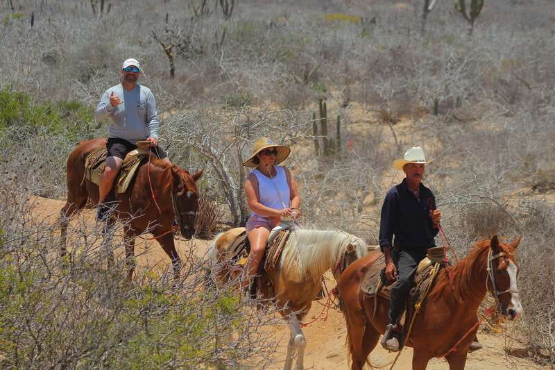 Cabo San Lucas: Horseback Riding in Migriño with Transfers - Price and Value: Is $87 Worth It for Two Hours of Riding?