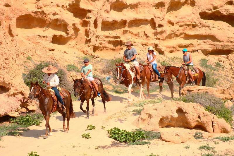 Cabo San Lucas: Horseback Riding in Migriño with Transfers - Who This Tour Fits Best, and Who Should Skip It