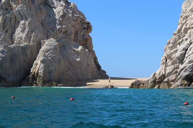 Cabo San Lucas Humpback Whale Watching Tour - Getting to the marina: hotel pickup where it’s offered, plus the $5 dock fee